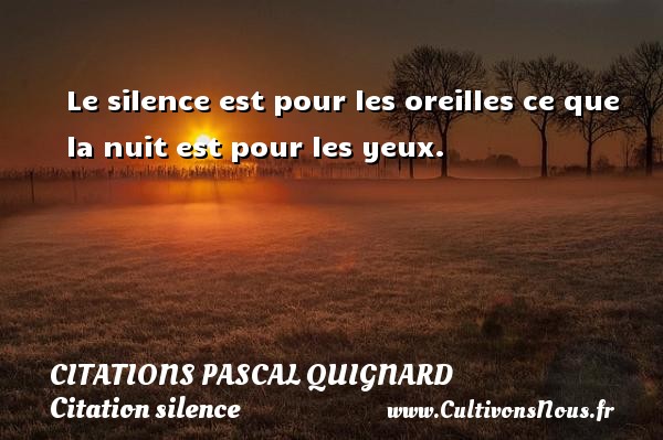 Le silence est pour les oreilles ce que la nuit est pour les yeux. CITATIONS PASCAL QUIGNARD - Citation silence
