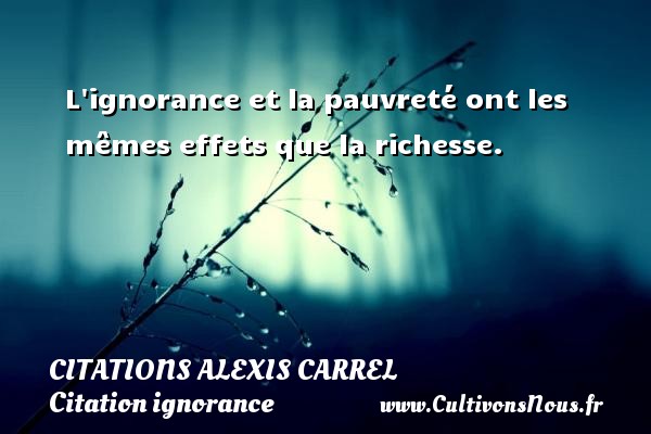 L ignorance et la pauvreté ont les mêmes effets que la richesse. CITATIONS ALEXIS CARREL - Citation ignorance