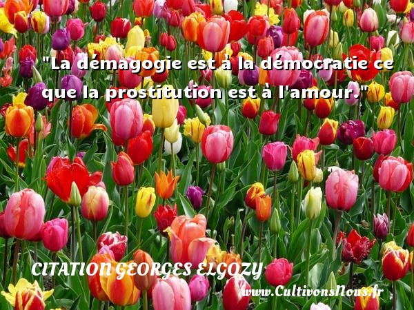 La démagogie est à la démocratie ce que la prostitution est à l amour. CITATION GEORGES ELGOZY