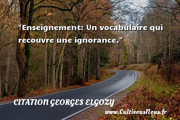 Enseignement: Un vocabulaire qui recouvre une ignorance. CITATION GEORGES ELGOZY - Citation ignorance