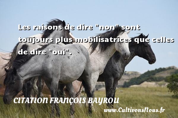 Les raisons de dire  non  sont toujours plus mobilisatrices que celles de dire  oui . CITATION FRANÇOIS BAYROU - Citation François Bayrou