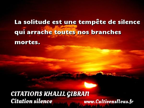 La solitude est une tempête de silence qui arrache toutes nos branches mortes. CITATIONS KHALIL GIBRAN - Citation silence