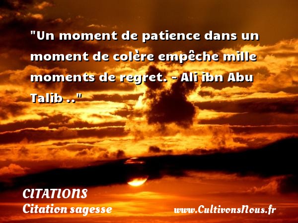 Un moment de patience dans un moment de colère empêche mille moments de regret. - Ali ibn Abu Talib .. CITATIONS - Citation sagesse
