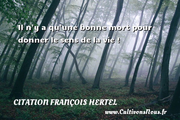 Il n y a qu une bonne mort pour donner le sens de la vie ! CITATION FRANÇOIS HERTEL - Citation François Hertel