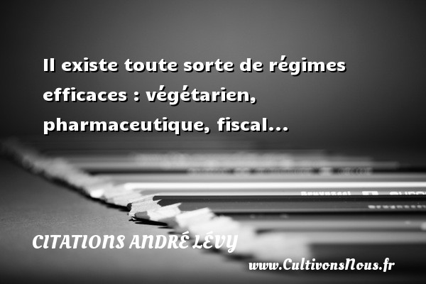 Il existe toute sorte de régimes efficaces : végétarien, pharmaceutique, fiscal... CITATIONS ANDRÉ LÉVY - Citations André Lévy