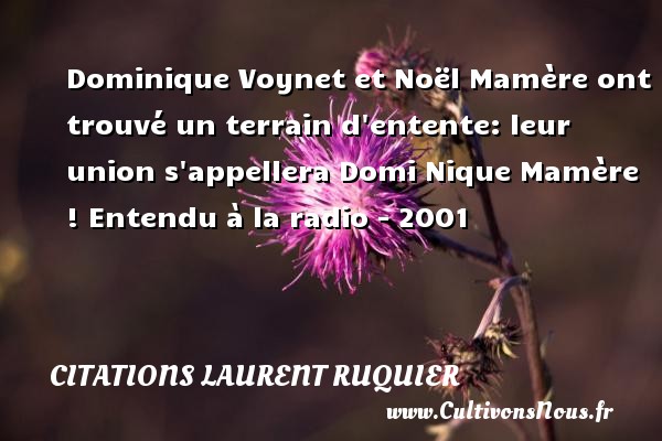 Dominique Voynet et Noël Mamère ont trouvé un terrain d entente: leur union s appellera Domi Nique Mamère ! Entendu à la radio - 2001 CITATIONS LAURENT RUQUIER