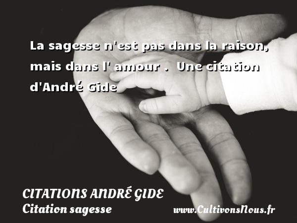 La sagesse n est pas dans la raison, mais dans l  amour .  Une citation d André Gide CITATIONS ANDRÉ GIDE - Citations André Gide - Citation sagesse