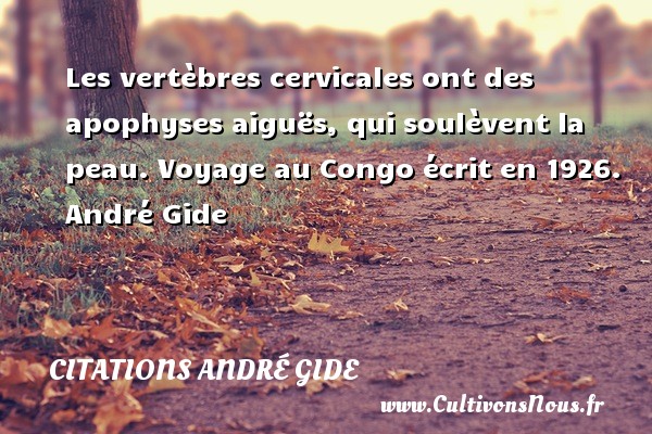 Les vertèbres cervicales ont des apophyses aiguës, qui soulèvent la peau. Voyage au Congo écrit en 1926. André Gide CITATIONS ANDRÉ GIDE - Citations André Gide