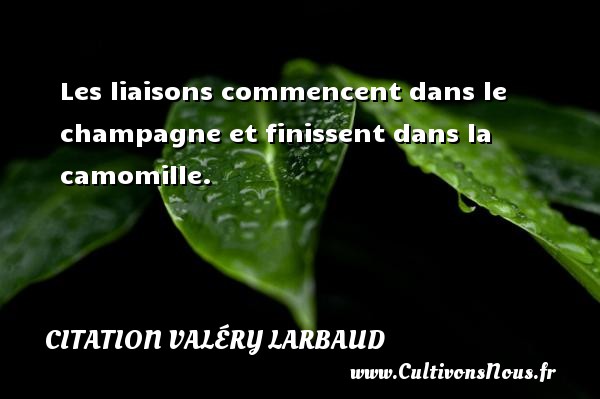 Les liaisons commencent dans le champagne et finissent dans la camomille. CITATION VALÉRY LARBAUD - Citation Valéry Larbaud