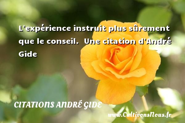 L expérience instruit plus sûrement que le conseil.  Une citation d André Gide CITATIONS ANDRÉ GIDE - Citations André Gide