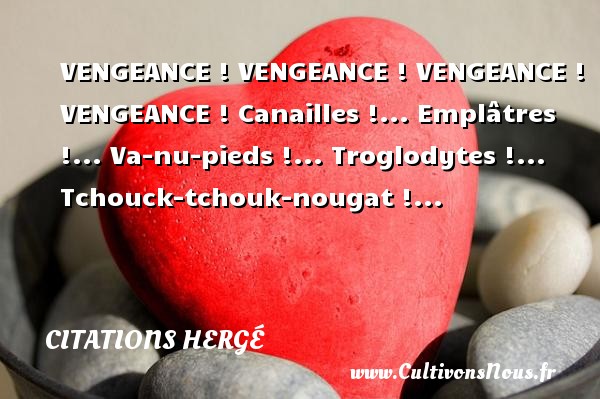 VENGEANCE ! VENGEANCE ! VENGEANCE ! VENGEANCE ! Canailles !... Emplâtres !... Va-nu-pieds !... Troglodytes !... Tchouck-tchouk-nougat !... CITATIONS HERGÉ - Citations Hergé - Citation vengeance