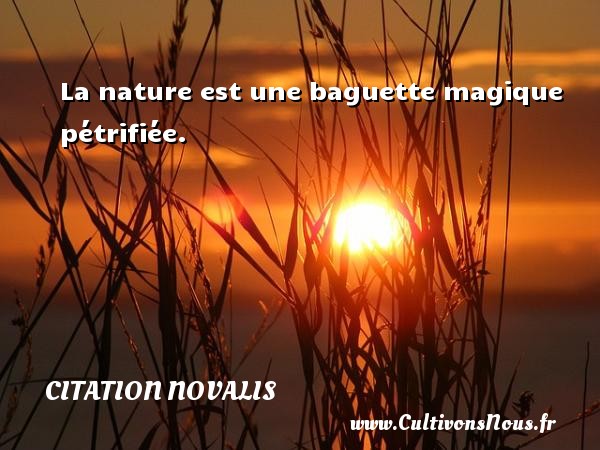 La nature est une baguette magique pétrifiée. CITATION NOVALIS