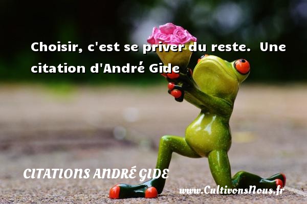 Choisir, c est se priver du reste.  Une citation d André Gide CITATIONS ANDRÉ GIDE - Citations André Gide