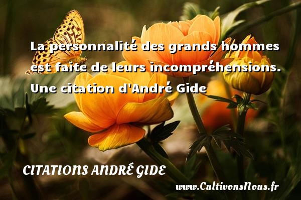La personnalité des grands hommes est faite de leurs incompréhensions.  Une citation d André Gide CITATIONS ANDRÉ GIDE - Citations André Gide
