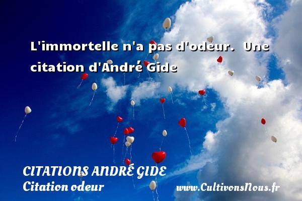 L immortelle n a pas d odeur.  Une citation d André Gide CITATIONS ANDRÉ GIDE - Citations André Gide - Citation odeur