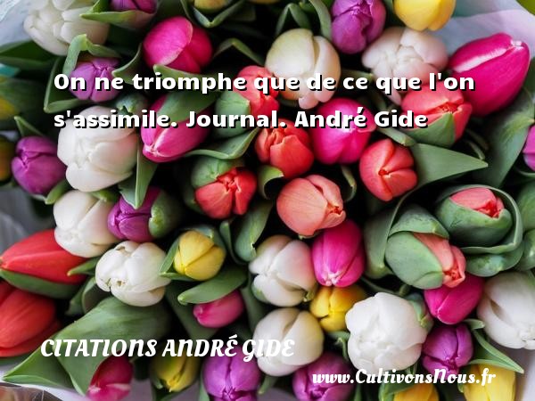 On ne triomphe que de ce que l on s assimile. Journal. André Gide CITATIONS ANDRÉ GIDE - Citations André Gide