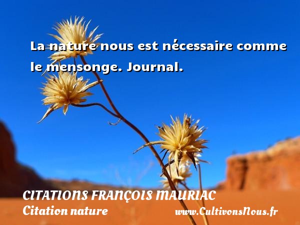 La nature nous est nécessaire comme le mensonge. Journal. CITATIONS FRANÇOIS MAURIAC - Citations François Mauriac - Citation nature