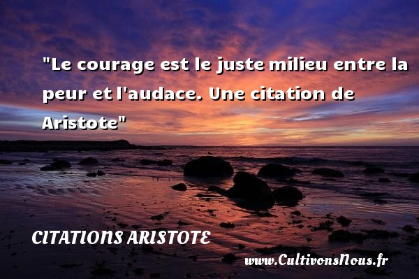 Le courage est le juste milieu entre la peur et l audace.  Aristote CITATIONS ARISTOTE - Citation courage