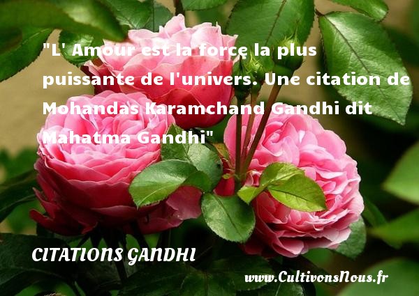L  Amour est la force la plus puissante de l univers. Une citation de Mohandas Karamchand Gandhi dit Mahatma Gandhi CITATIONS GANDHI