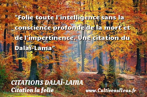 Folie toute l intelligence sans la conscience profonde de la mort et de l impertinence. Une citation du Dalaï-Lama CITATIONS DALAÏ-LAMA - Citations Dalaï-Lama - Citation folie