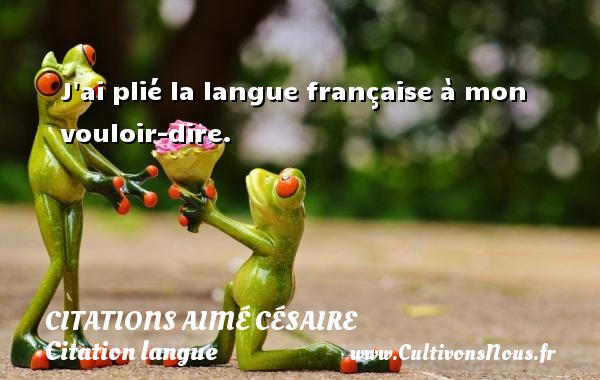 J ai plié la langue française à mon vouloir-dire. CITATIONS AIMÉ CÉSAIRE - Citations Aimé Césaire - Citation langue