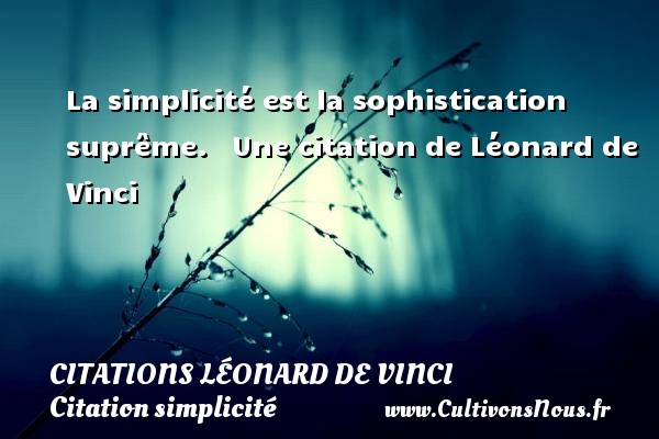 La simplicité est la sophistication suprême.   Une citation de Léonard de Vinci CITATIONS LÉONARD DE VINCI - Citations Léonard de Vinci - Citation simplicité