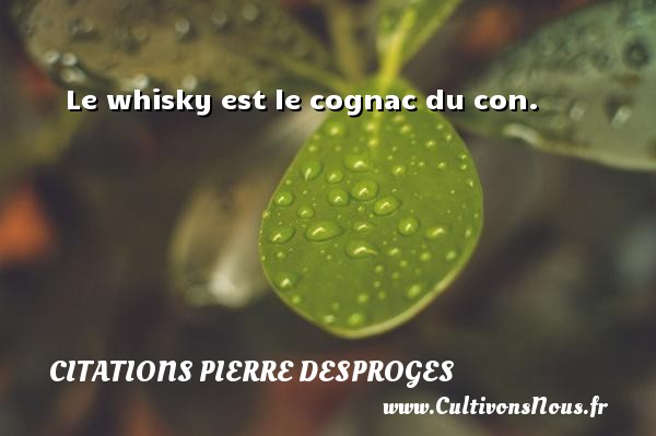 Le whisky est le cognac du con. CITATIONS PIERRE DESPROGES