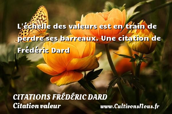 L échelle des valeurs est en train de perdre ses barreaux. Une citation de Frédéric Dard CITATIONS FRÉDÉRIC DARD - Citations Frédéric Dard - Citation valeur