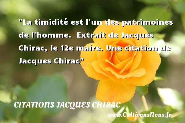 La timidité est l un des patrimoines de l homme.  Extrait de Jacques Chirac, le 12e maire. Une citation de Jacques Chirac CITATIONS JACQUES CHIRAC