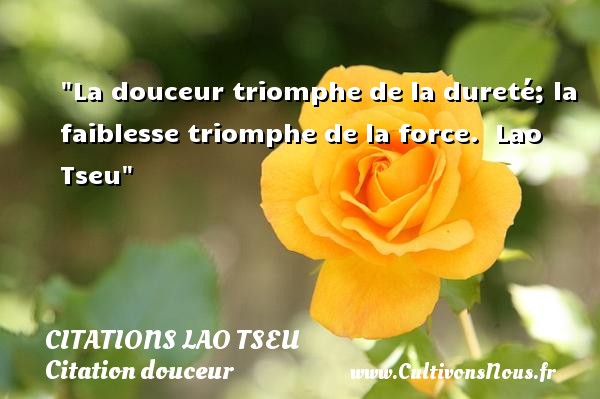 La douceur triomphe de la dureté; la faiblesse triomphe de la force.  Lao Tseu CITATIONS LAO TSEU - Citation douceur