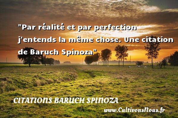 Par réalité et par perfection j entends la même chose. Une citation de Baruch Spinoza CITATIONS BARUCH SPINOZA - Citation réalité