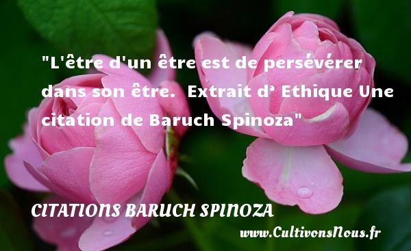 L être d un être est de persévérer dans son être.  Extrait d’ Ethique Une citation de Baruch Spinoza CITATIONS BARUCH SPINOZA