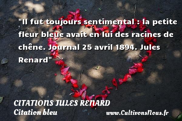 Il fut toujours sentimental : la petite fleur bleue avait en lui des racines de chêne. Journal 25 avril 1894. Jules Renard CITATIONS JULES RENARD - Citation bleu