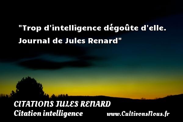 Trop d intelligence dégoûte d elle. Journal de Jules Renard CITATIONS JULES RENARD - Citation intelligence