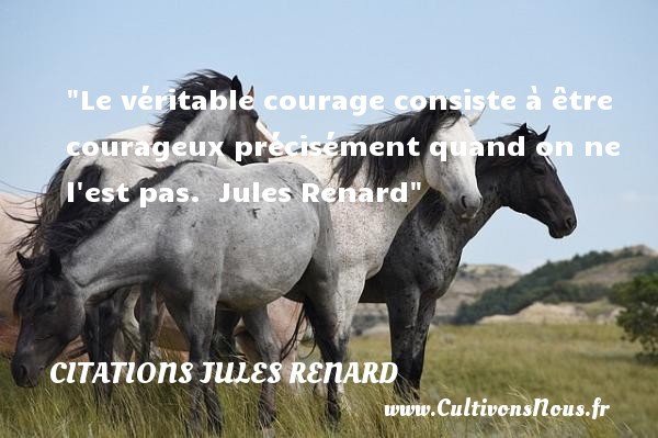 Le véritable courage consiste à être courageux précisément quand on ne l est pas.  Jules Renard CITATIONS JULES RENARD - Citation courage