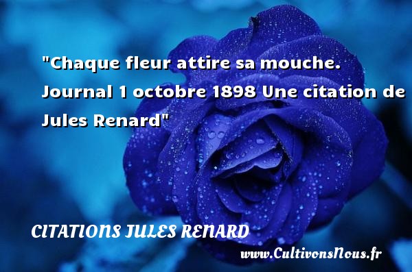 Chaque fleur attire sa mouche. Journal 1 octobre 1898 Une citation de Jules Renard CITATIONS JULES RENARD - Citation fleur