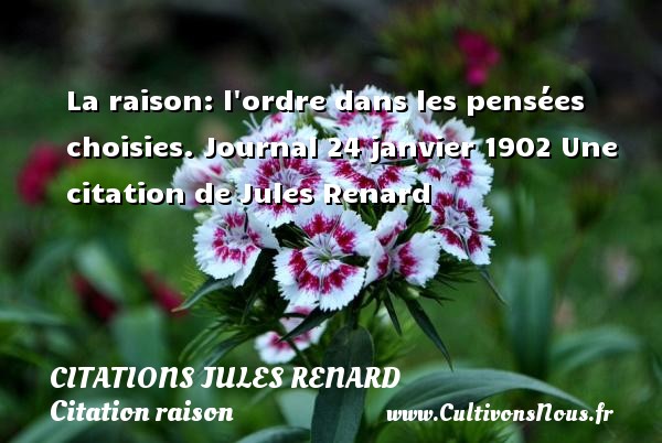 La raison: l ordre dans les pensées choisies. Journal 24 janvier 1902 Une citation de Jules Renard CITATIONS JULES RENARD - Citation raison