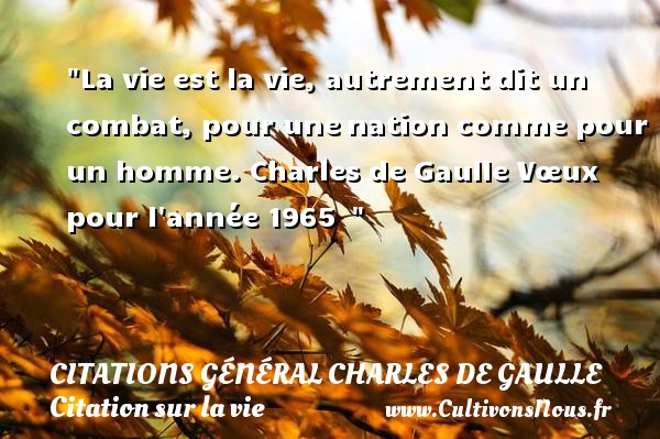 La vie est la vie, autrement dit un combat, pour une nation comme pour un homme. Charles de Gaulle Vœux pour l année 1965   CITATIONS GÉNÉRAL CHARLES DE GAULLE - Citations Général Charles de Gaulle - Citation sur la vie