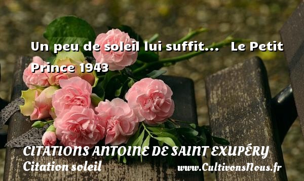 Un peu de soleil lui suffit...   Le Petit Prince 1943 CITATIONS ANTOINE DE SAINT EXUPÉRY - Citations Antoine de Saint Exupéry - Citation soleil
