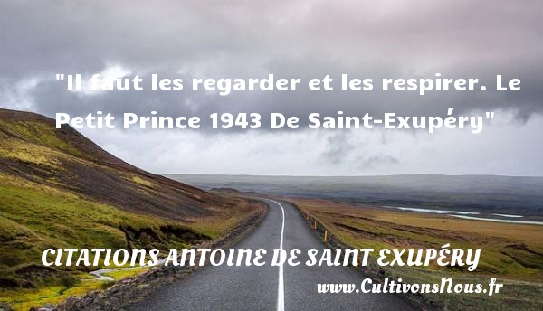 Il faut les regarder et les respirer. Le Petit Prince 1943 De Saint-Exupéry CITATIONS ANTOINE DE SAINT EXUPÉRY - Citations Antoine de Saint Exupéry