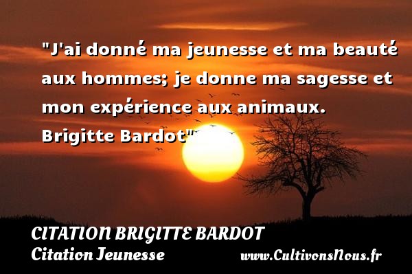 J ai donné ma jeunesse et ma beauté aux hommes; je donne ma sagesse et mon expérience aux animaux.  Brigitte Bardot CITATION BRIGITTE BARDOT - Citation animaux - Citation Jeunesse