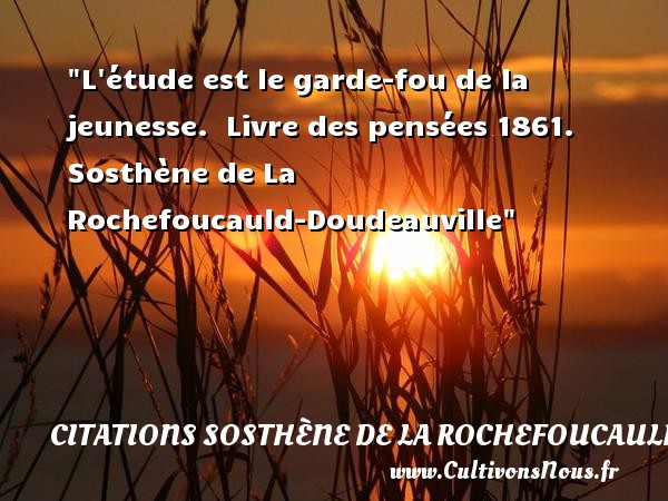 L étude est le garde-fou de la jeunesse.  Livre des pensées 1861. Sosthène de La Rochefoucauld-Doudeauville CITATIONS SOSTHÈNE DE LA ROCHEFOUCAULD-DOUDEAUVILLE - Citations Sosthène de La Rochefoucauld-Doudeauville - Citation Jeunesse