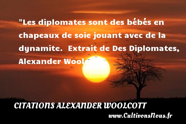 Les diplomates sont des bébés en chapeaux de soie jouant avec de la dynamite.  Extrait de Des Diplomates, Alexander Woolcott CITATIONS ALEXANDER WOOLCOTT - Citation bébé