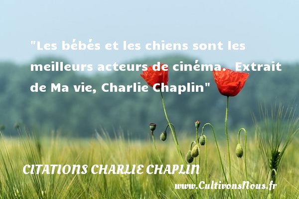 Les bébés et les chiens sont les meilleurs acteurs de cinéma.  Extrait de Ma vie, Charlie Chaplin CITATIONS CHARLIE CHAPLIN - Citation bébé