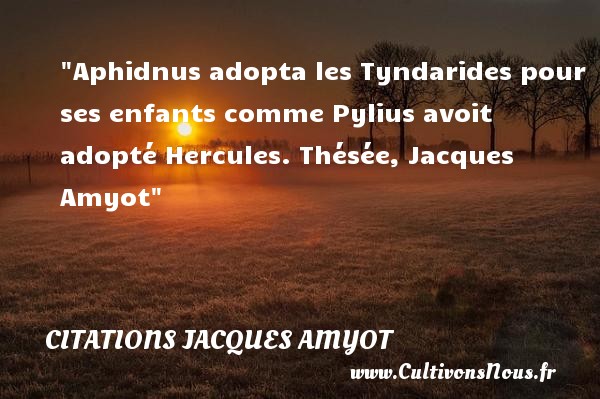 Aphidnus adopta les Tyndarides pour ses enfants comme Pylius avoit adopté Hercules. Thésée, Jacques Amyot CITATIONS JACQUES AMYOT - Citation enfant