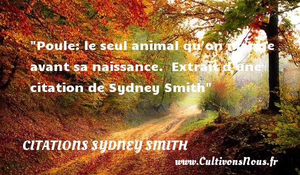 Poule: le seul animal qu on mange avant sa naissance.  Extrait d une citation de Sydney Smith CITATIONS SYDNEY SMITH - citation naissance