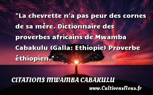 La chevrette n a pas peur des cornes de sa mère. Dictionnaire des proverbes africains de Mwamba Cabakulu (Galla: Ethiopie) Proverbe éthiopien. CITATIONS MWAMBA CABAKULU - Citation peur