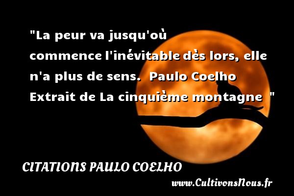 La peur va jusqu où commence l inévitable dès lors, elle n a plus de sens.  Paulo Coelho   Extrait de La cinquième montagne   CITATIONS PAULO COELHO - Citation peur