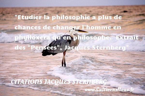 Etudier la philosophie a plus de chances de changer l homme en phylloxera qu en philosophe.  Extrait des  Pensées , Jacques Sternberg CITATIONS JACQUES STERNBERG - Citation philosophie