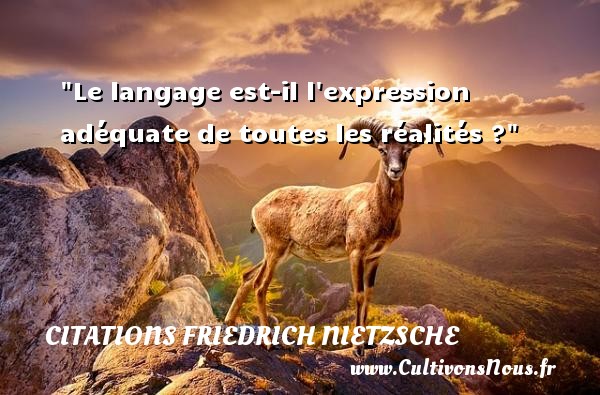 Le langage est-il l expression adéquate de toutes les réalités ? CITATIONS FRIEDRICH NIETZSCHE - Citation philosophie